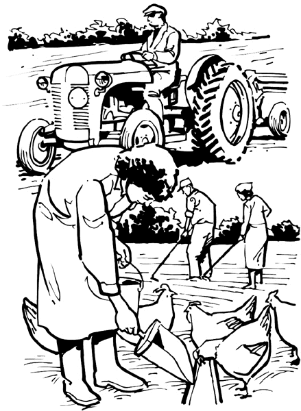 Man and woman farmers tending to the farm vinyl sticker. Customize on line. Agriculture Crops Farming Scene 003-0158  